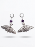Aretes Moth
