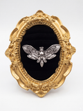 Anillo Polilla