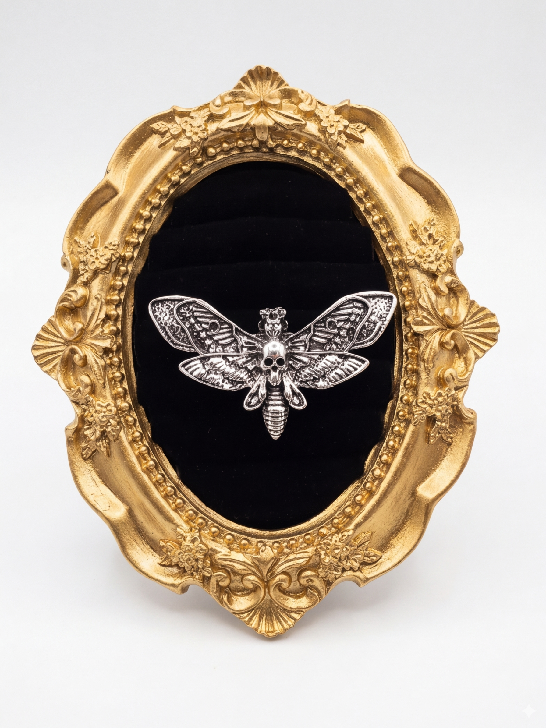 Anillo Polilla