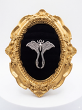 Anillo Polilla