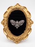 Anillo polilla