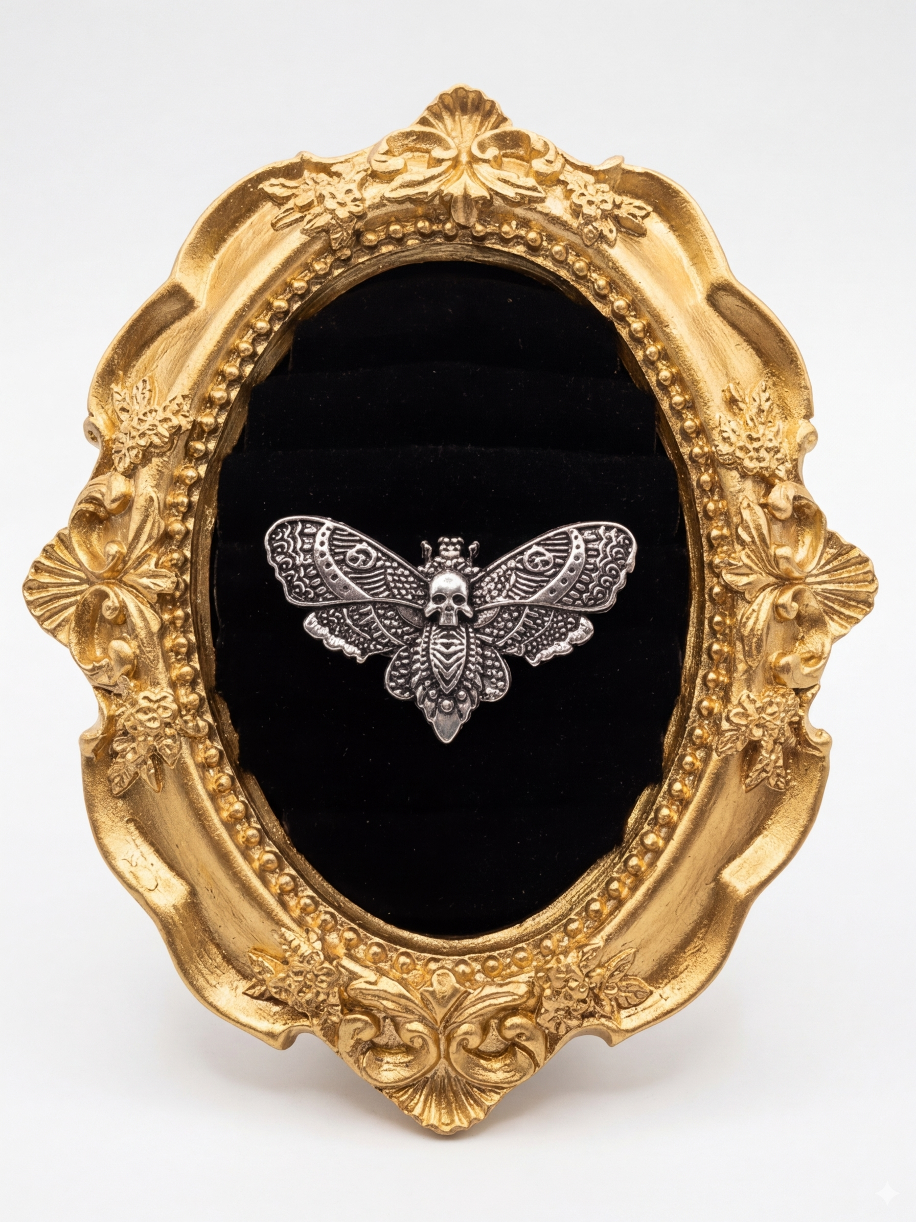 Anillo polilla