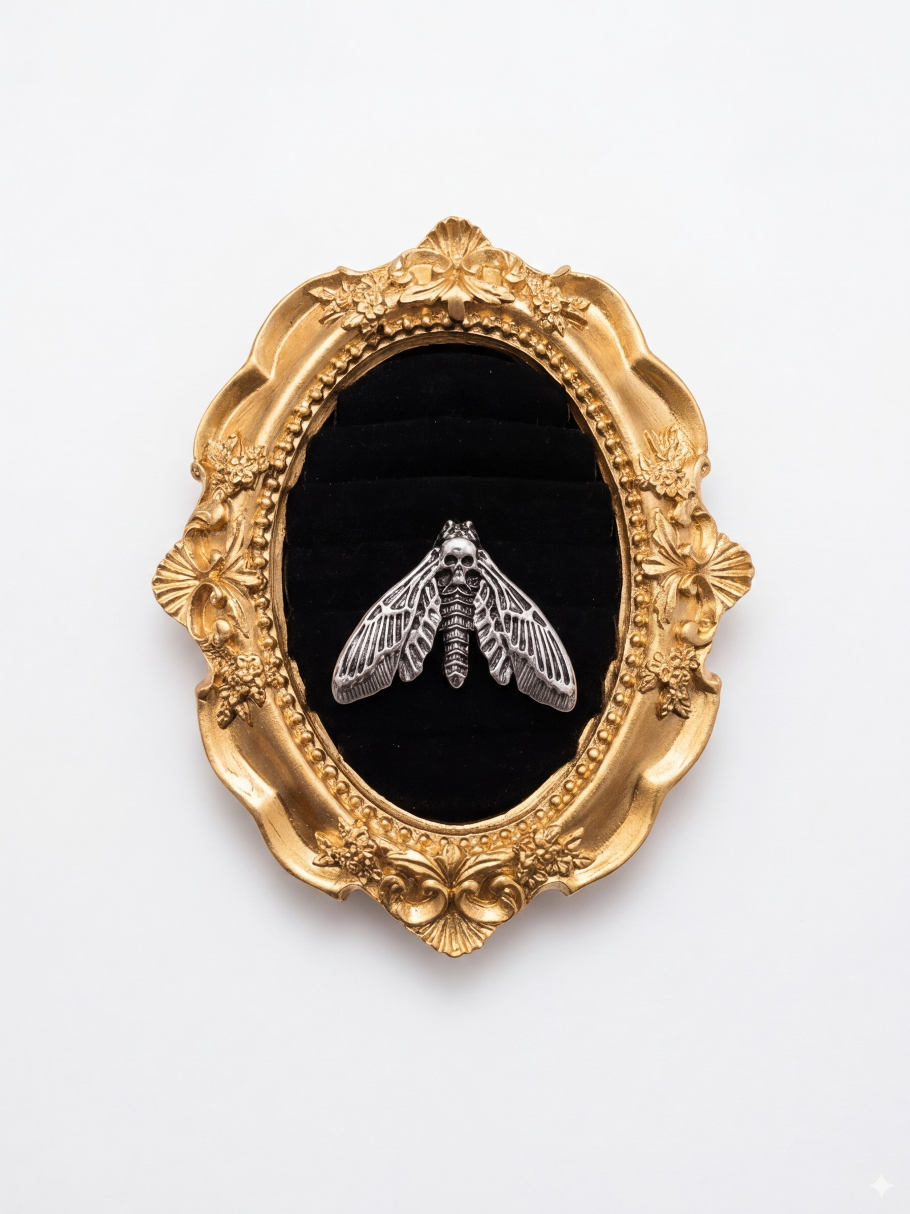 Anillo Polilla